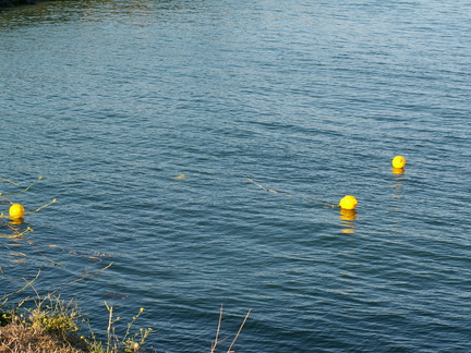 20060616 202042